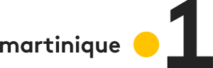 Milmurs production, Street-art, Martinique, Montréal, Amy Lee - festival fort de france 2019
