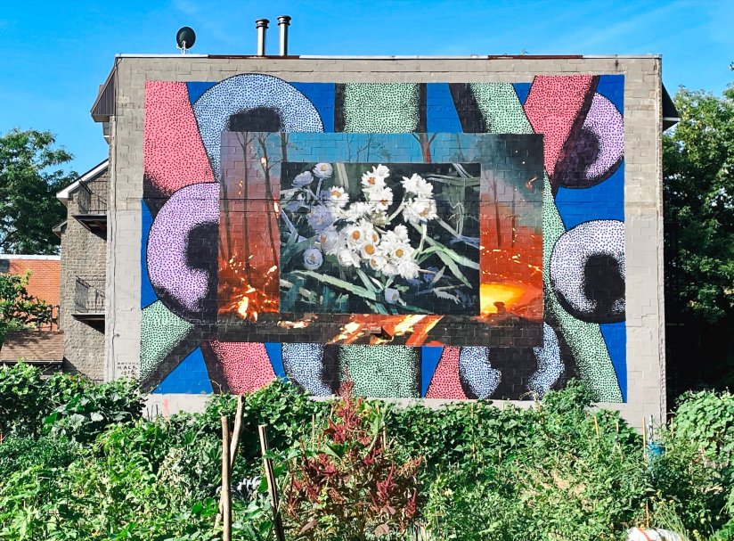 Milmurs production, Street-art, Martinique, Montréal, Réalisations