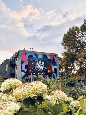 Milmurs production, Street-art, Martinique, Montréal, Bryan et Mack 2025