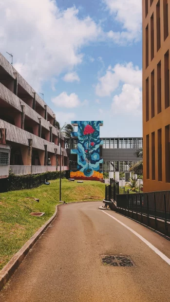 JKing | CHU Martinique