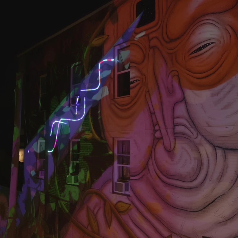 Milmurs production, Street-art, Martinique, Montréal, Luca Ledda - Festival Montréal 2024