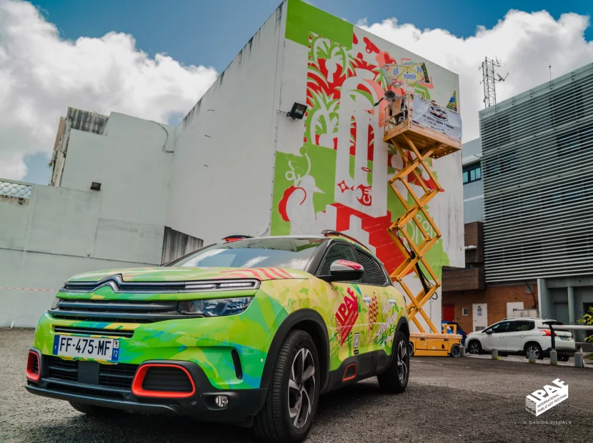 La première édition du Festival Milmurs à Fort-de-France a transformé le centre ville et le quartier des Terres Sainville, en un véritable musée à ciel ouvert.