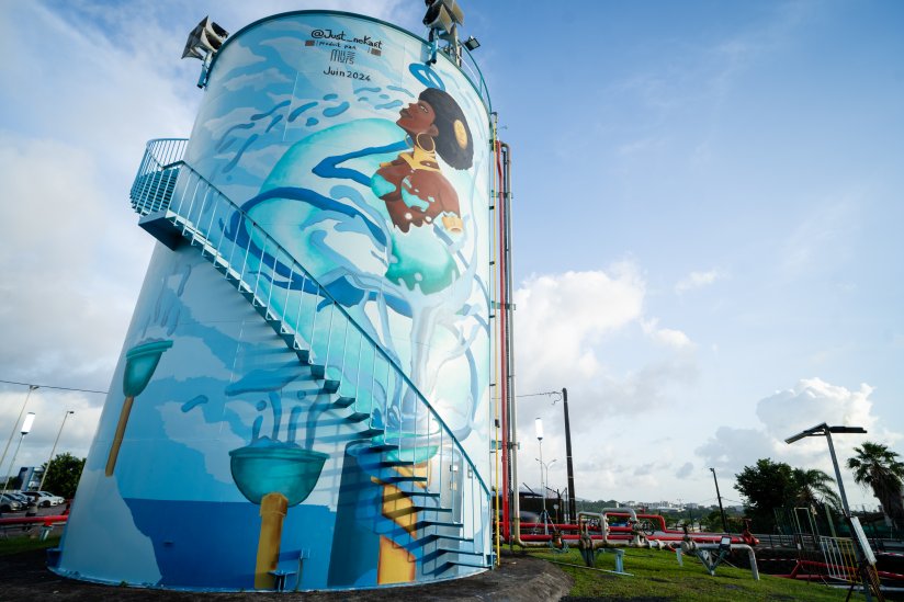 Milmurs production, Street-art, Martinique, Montréal, Réalisations