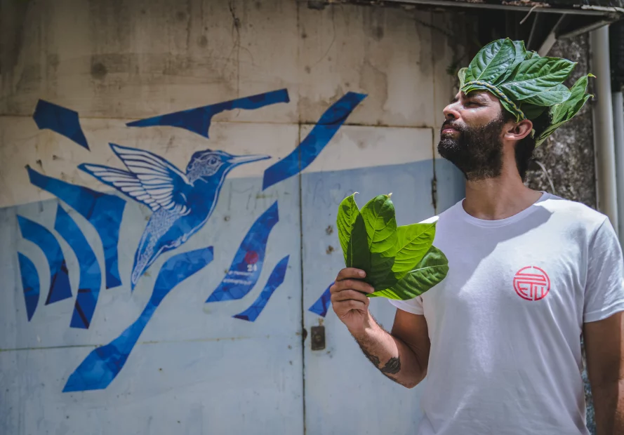 Stew | festival martinique | 2019
