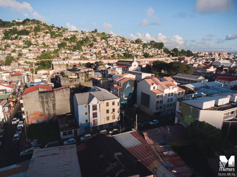 Veks Van Hillik - Festival Fort de France 2020